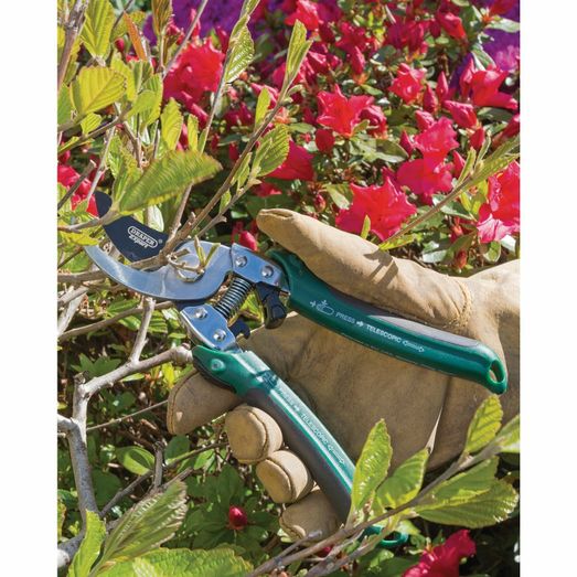 Draper 36542 2 in 1 Bypass Pattern Pruner and Mini Lopper