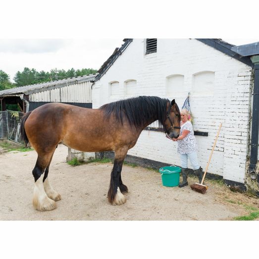 Draper 88618 Yard Broom (330mm)