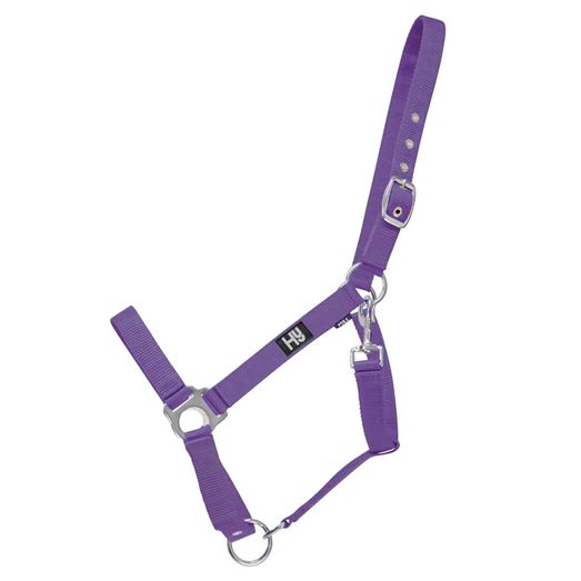 Hy Equestrian Economy Plus Head Collar - Purple