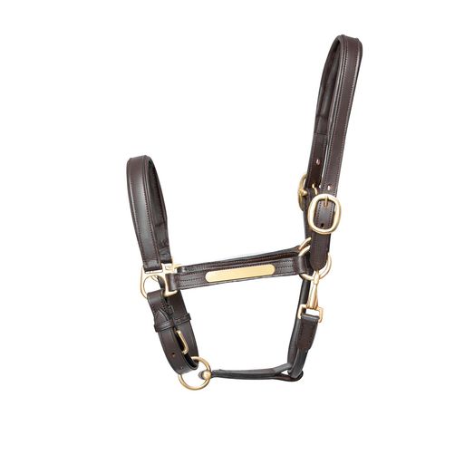 Hy Equestrian Leather Headcollar Brown