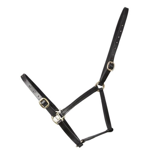 Hy Equestrian Leather Foal Headcollar Black