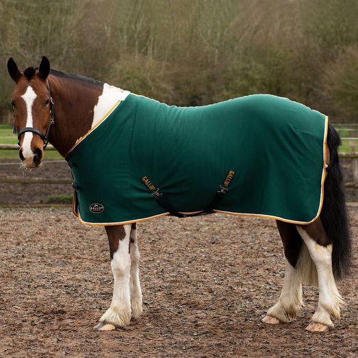 Gallop Premium Jersey Cooler Rug Green/White/Yellow