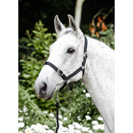 Economy Headcollar &amp; Leadrope Set