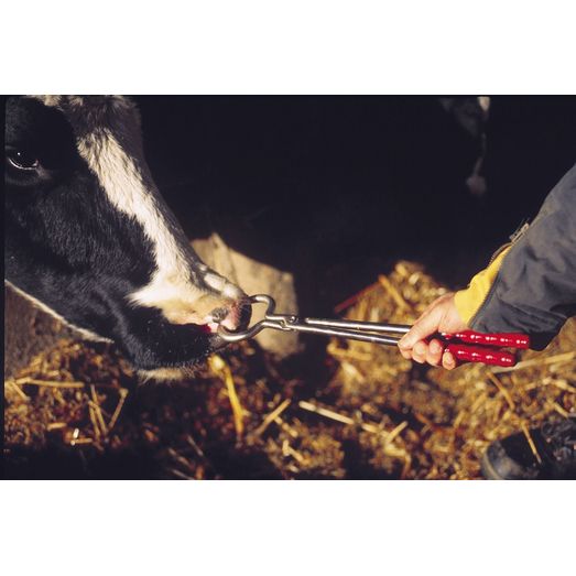 Agrihealth Bullholder Tongs