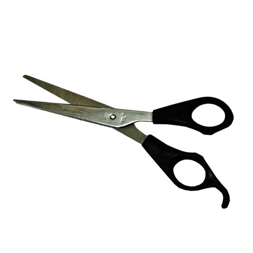 Economy Scissors