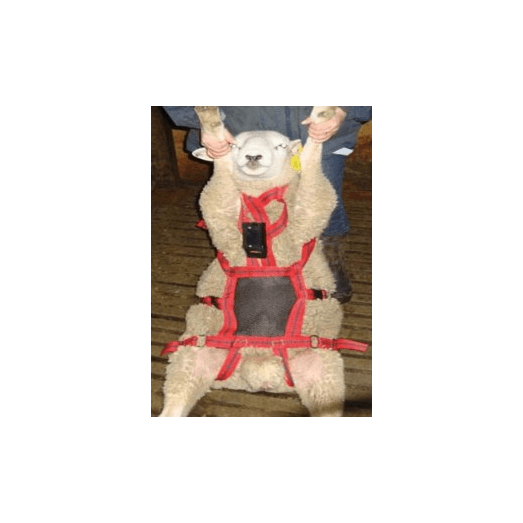 Matingmark No Mate Harness Attachment