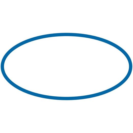 Shoof Quarter Milker O-Ring For Lid