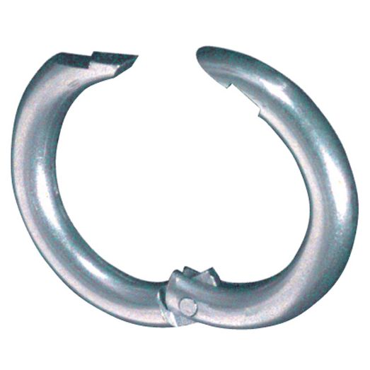 Haupter Pig Ring