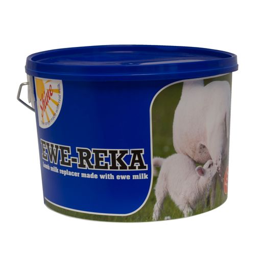 Ewe Reka
