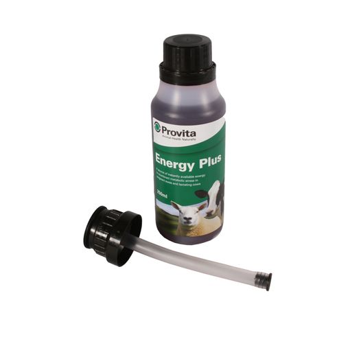 Provita Energy Plus