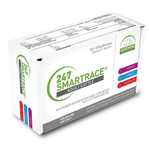 24-7 Smartrace Adult Cattle