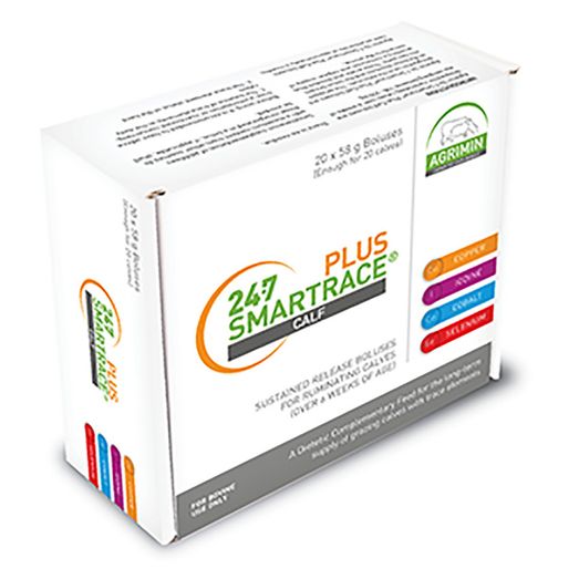 24-7 Smartrace Plus Calf