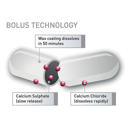 24-7 Calcium Cattle Bolus