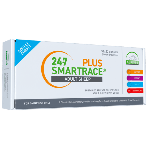 24-7 Smartrace Plus Adult Sheep