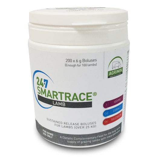 24-7 Smartrace Lamb
