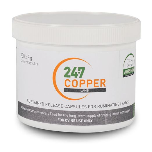 24-7 Copper Lamb Bolus