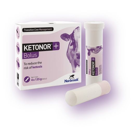 Ketonor
