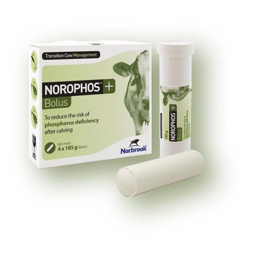 Norophos Plus