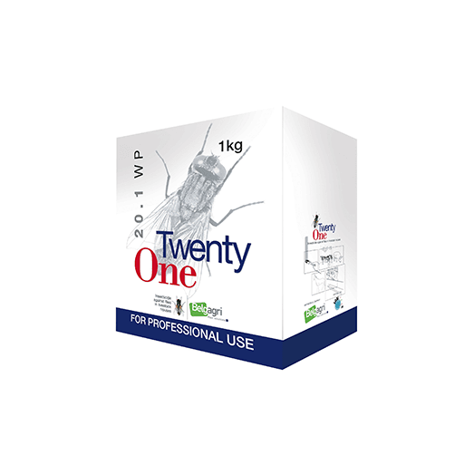Twenty One