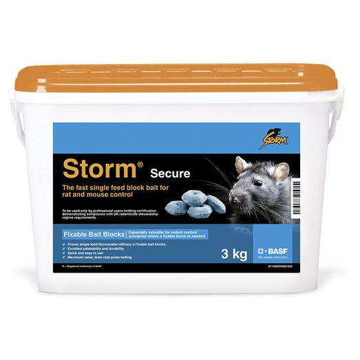 Storm