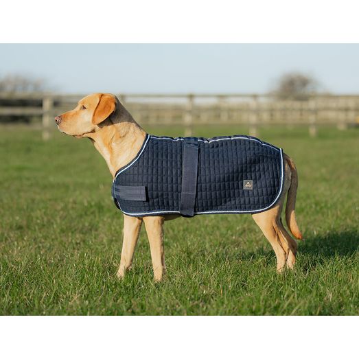 Mackey Thermo Dog Rug