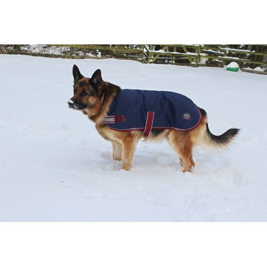 Mackey Buster Dog Coat (Navy/Burgundy)