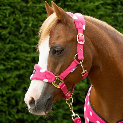 Supreme Products Dotty Fleeceheadcollar/Lead Rope Pink Paradise Pink