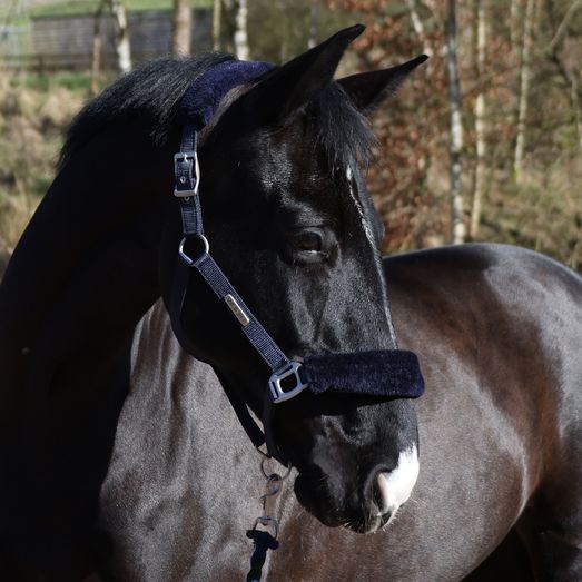 Whitaker Hc170 Leyburn Headcollar &amp; Lead Rope Navy
