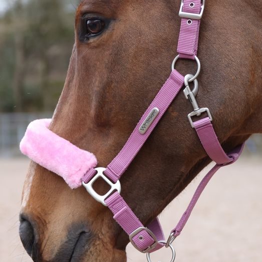 Whitaker Hc170 Leyburn Headcollar &amp; Lead Rope Pink
