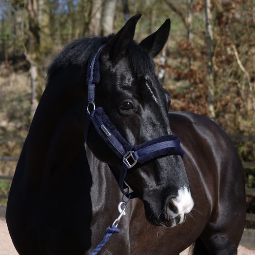 Whitaker Hc171 Holmfirth Furry Headcollar &amp; Lead Rope Navy