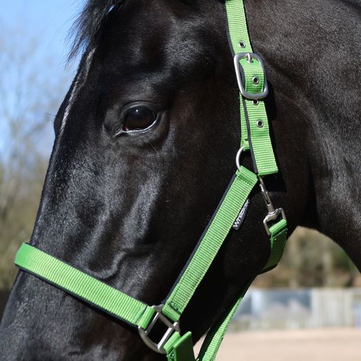 Whitaker Hc172 Pockley Padded Headcollar Green