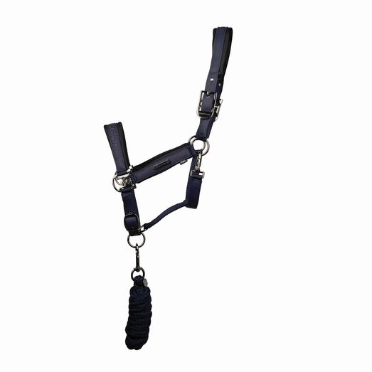 Coldstream Paxton Padded Headcollar &amp; Lead Rope Navy