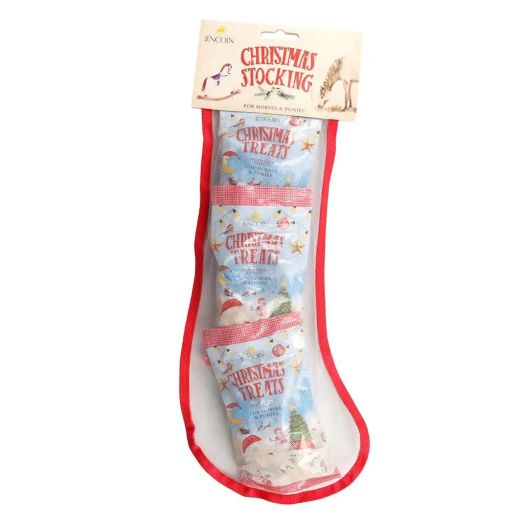 Lincoln Christmas Stocking -Treat 1 Xmas