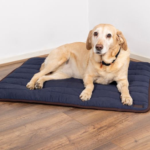 Benji &amp; Flo Comfort Dog Bed Navy/Chocolate