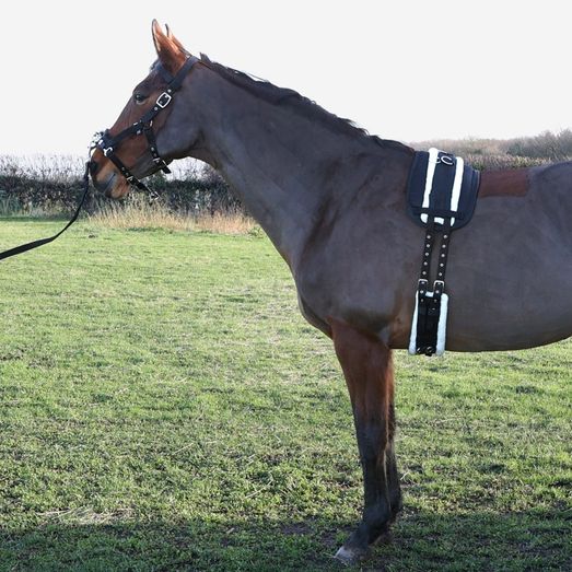 Hy Equestrian Lunge Roller Black
