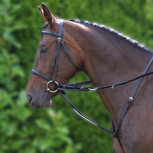 Hy Equestrian Market Harborough Black