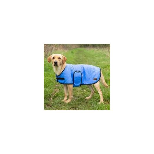Benji &amp; Flo Cooling Dog Vest Navy