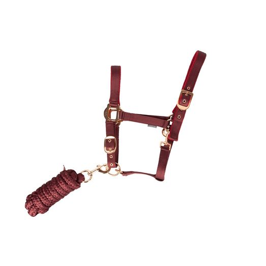 Hy Equestrian Head Collar &amp; Lead Rope Berry/Rose Gold