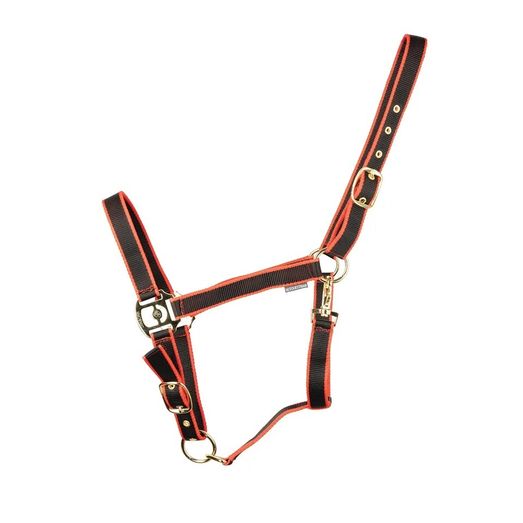Hyconic Fleck Head Collar Black/Red