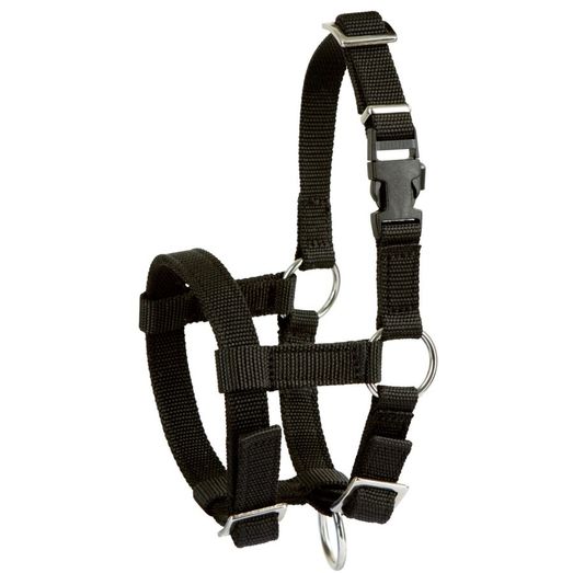 Alpaca Halter, adjustable,