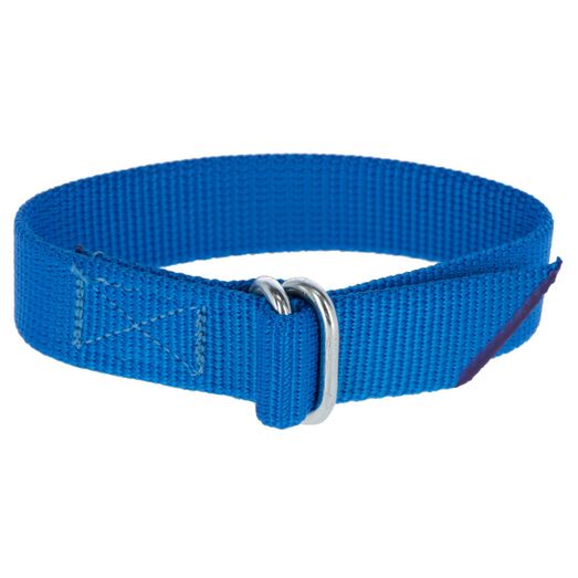 Fetlock Strap for leg band numbers