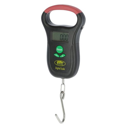 DigiScale 25,
