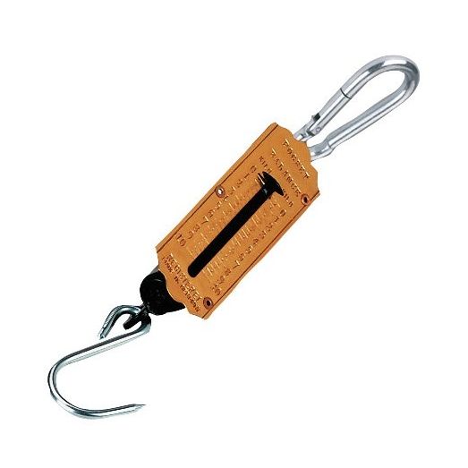 Spring Scale