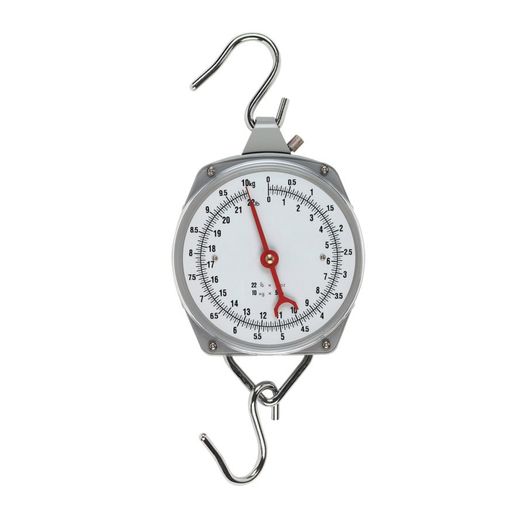 Suspended Dial Balance Premium