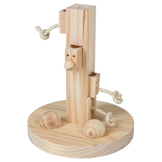 Thinking and Learning Toy