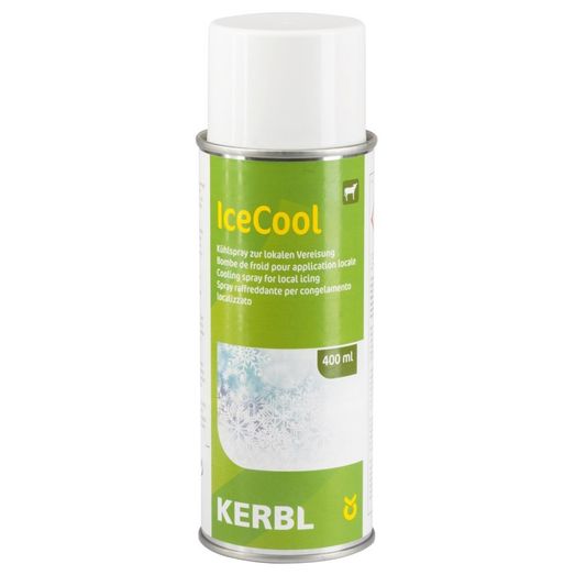 Cool Spray 400ml