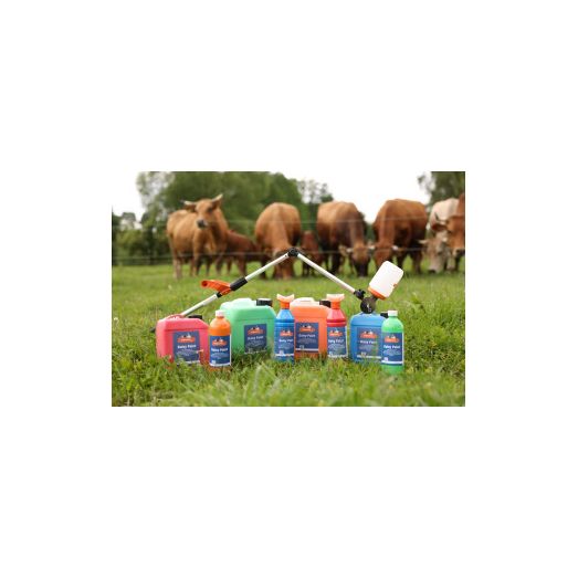 Daisy Paint incl. brush, 750ml