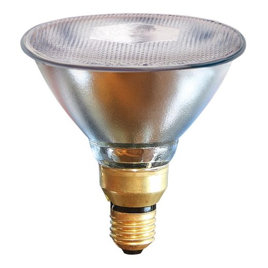 Energy-saving Lamp PAR38 175 W, clear