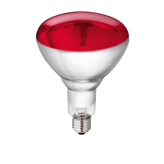 Hard Glas Infrared Lamp 250 W