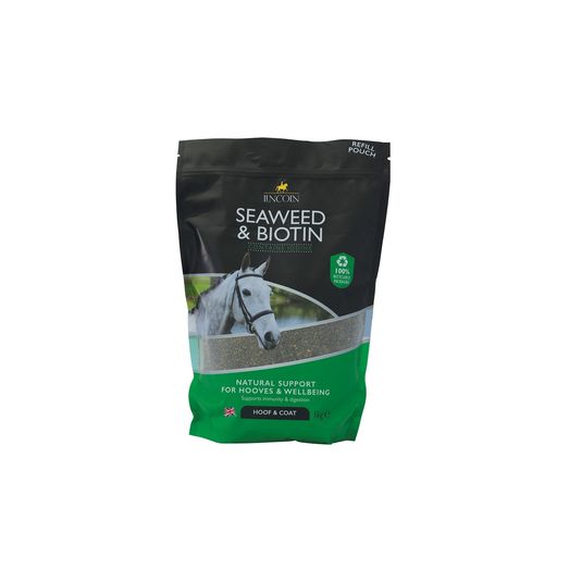 Lincoln Seaweed Powder